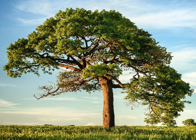 Gallery image Home page